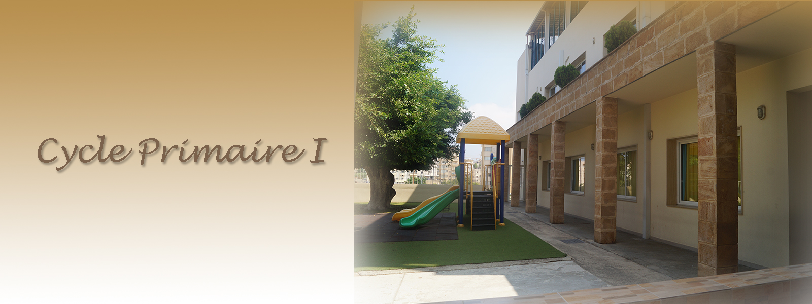Cycle Primaire I